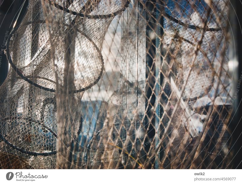 wickerwork Fishery Network Fishing net Fish trap Close-up Reticular Sunlight Round Idyll Illuminate Structures and shapes Detail Deserted Work and employment