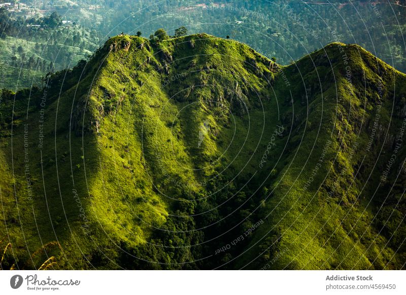 Mountain ridge in wild nature mountain highland slope forest peak steep summer environment top breathtaking range formation massive rough sri lanka plant tree