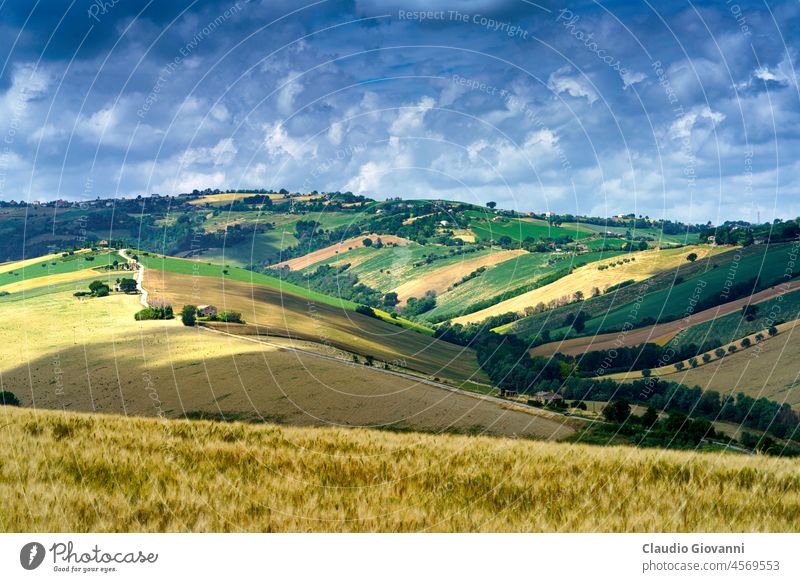 Rural landscape in Fermo province, Marche, near Monterubbiano Europe Italy Moresco agriculture color country day farm field green hill nature outdoor