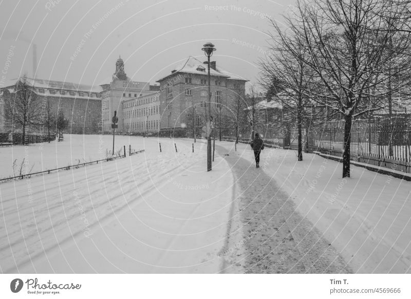 Winter with snow at the Humboldt Harbour in Berlin Humboldt Port Snow Middle Downtown Berlin Capital city Architecture Exterior shot Town City Germany b/w Day