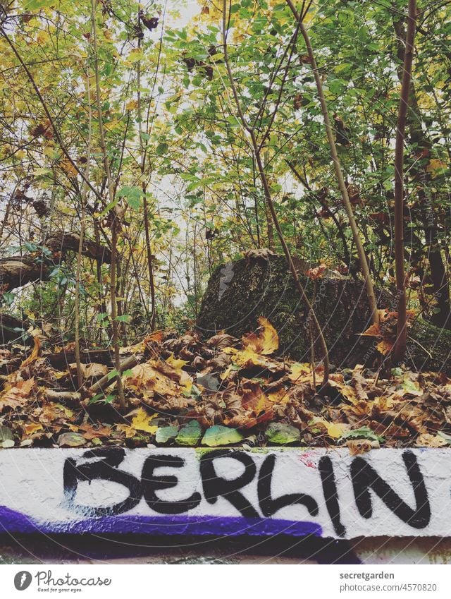 [UT Berlin 2021] One Day Everything Makes Sense (Berlin Edition) Graffiti Nature Daub variegated Youth culture Street art Wall (building) Word Subculture