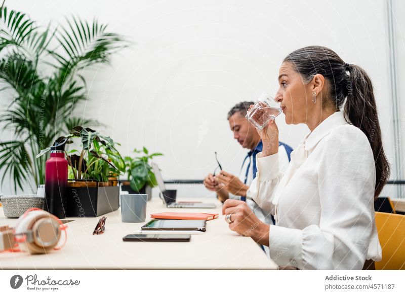 Business people at desktop with tablets and flowerpots businesspeople work coworker office company employee interior workplace collaborate workspace occupation
