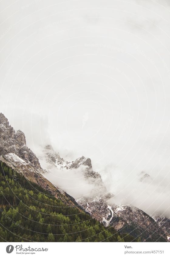 cotton candy mountains Mountain Nature Landscape Plant Sky Clouds Bad weather Fog Snow Tree Forest Rock Alps Cold Green Colour photo Subdued colour