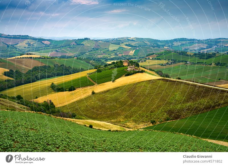 Country landscape near Ripatransone, Marche, Italy Ascoli Piceno Europe Rubbianello agriculture color day field green hill nature outdoor photography plant