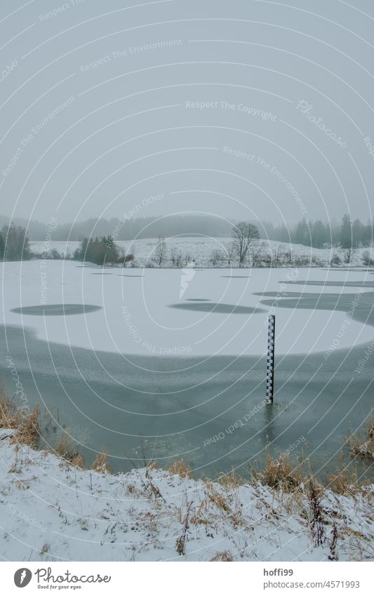 frozen lake with water level indicator peril Lake Winter Freeze White Landscape Snow Frost Frozen Nature Ice Cold chill Calm Lakeside Forest Tracks Weather