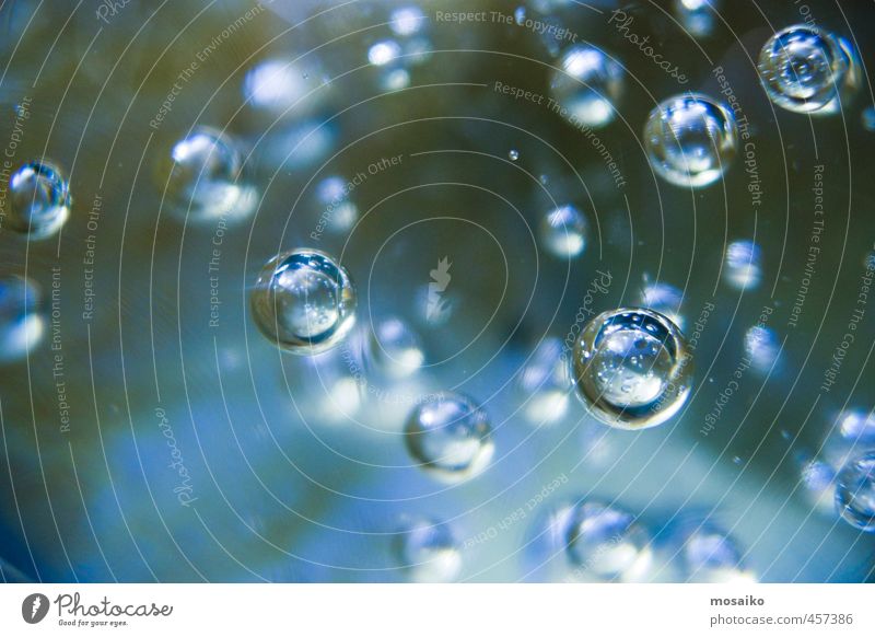 close up of isolated bubbles - macro - under water photography Beautiful Wellness Life Harmonious Relaxation Meditation Spa Environment Nature Air Fresh Bright