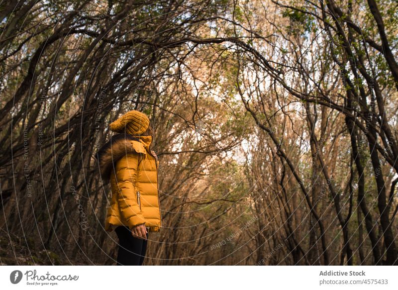 Unrecognizable lady walking in autumn woods woman hiker nature trekking forest woodland tree travel female explore trip wanderlust adventure spain tourist