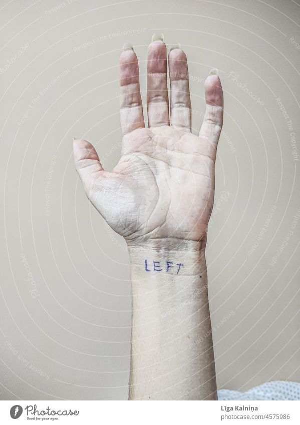 Left hand Left-handed Hand Fingers Colour photo Human being Write Neutral Background Copy Space top Feminine Central perspective Adults 1 Woman Studio shot