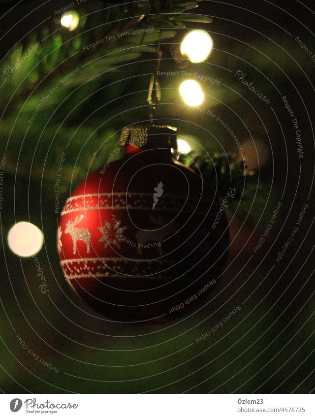 Red Christmas ball on the Christmas tree Christmas & Advent Christmas decoration Decoration Winter Moody Tradition Colour photo Anticipation