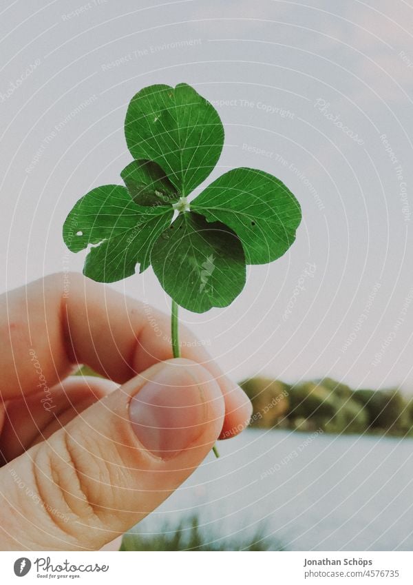four-leaf clover in one hand as a symbol of luck and superstition lotto lottery win Happy Game of chance Gambler new year's resolution Target Money Coincidence