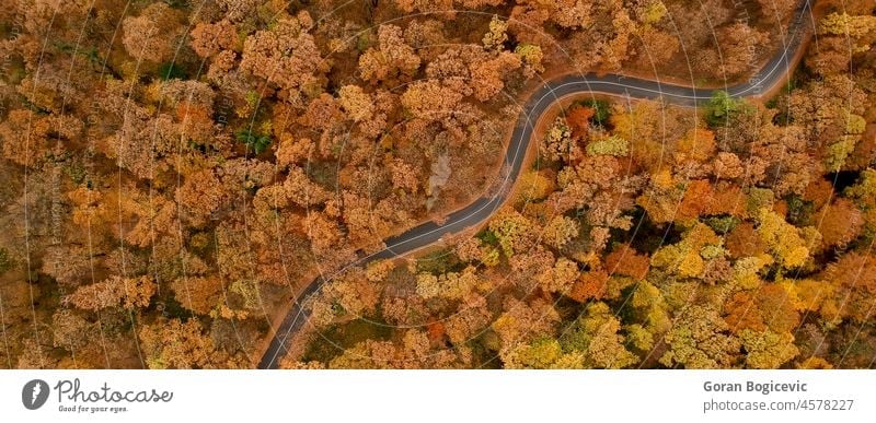 Aerial view at the road in autumn forest nature season beautiful fall orange aerial colorful top park woodland travel maple foliage scenery trees landscape leaf