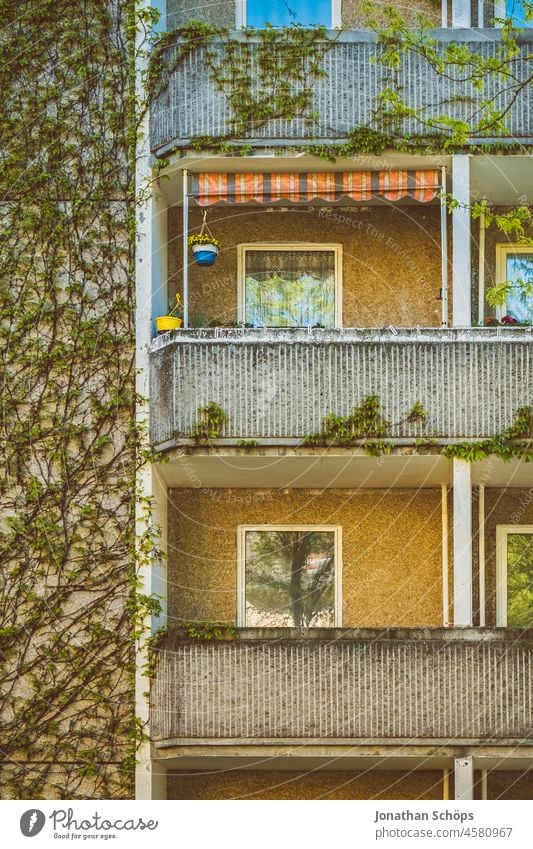 overgrown facade with balconies on prefabricated apartments trees Tree Green Summer block of flats dwell living environment Rent Apartment Building