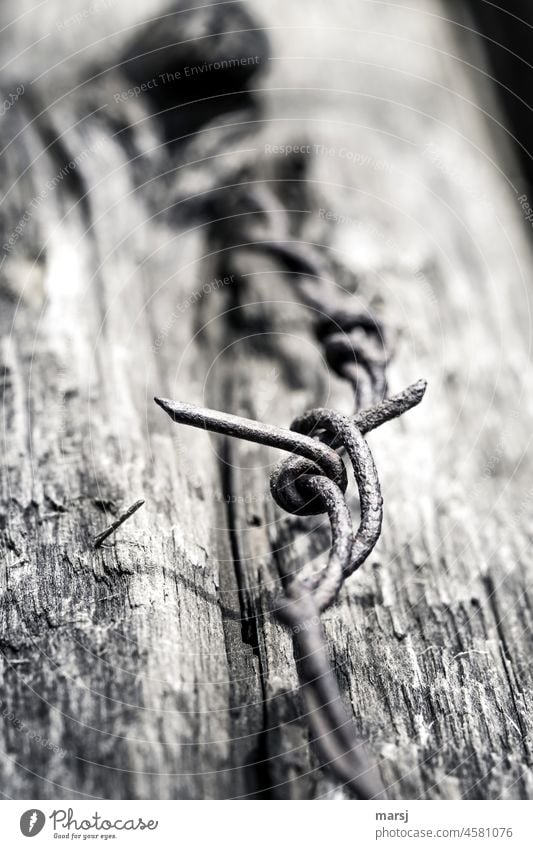 The coldness of being excluded. Old, rusty barbed wire on wood. Metal Barbed wire fence Contrast Shallow depth of field Rust Loneliness Thorny Abstract