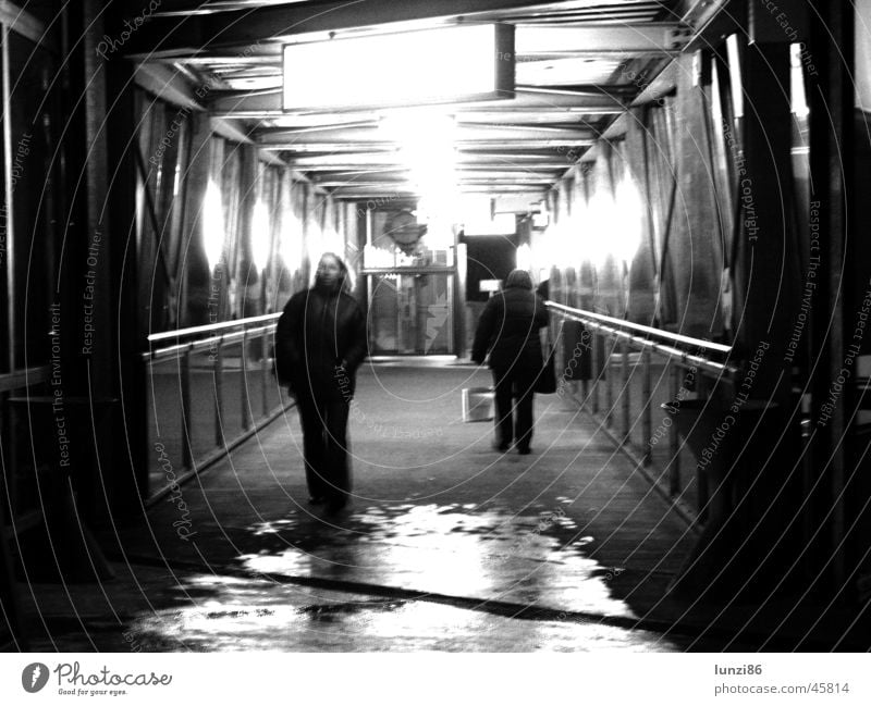 Transition Pedestrian Frontal Human being Damp Reflection Long exposure Graz Tunnel Dark Wet Light Flashy Night Rain Passage Bridge Fear Panic run Bright