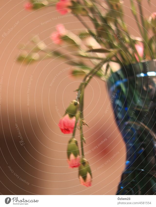 Pink flowers in blue vase Bouquet Vase Water pink Blossom Spring Nature Flower Plant Decoration Colour photo Green Interior shot Blossoming Deserted pretty