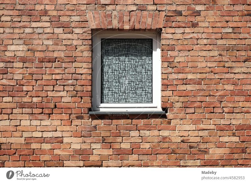 Window with patterned frosted glass as a privacy screen in an old reddish-brown clinker brick façade of a farmhouse in Alverdissen near Barntrup in East Westphalia-Lippe