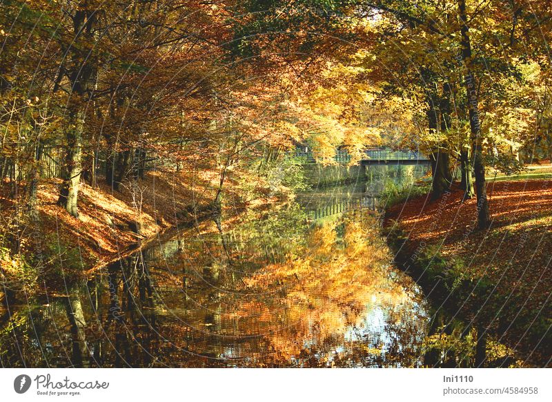 Autumn atmosphere in the city park autumn mood deciduous trees leaves foliage Autumnal colours River Water River course reflection bank Bridge Light Shadow