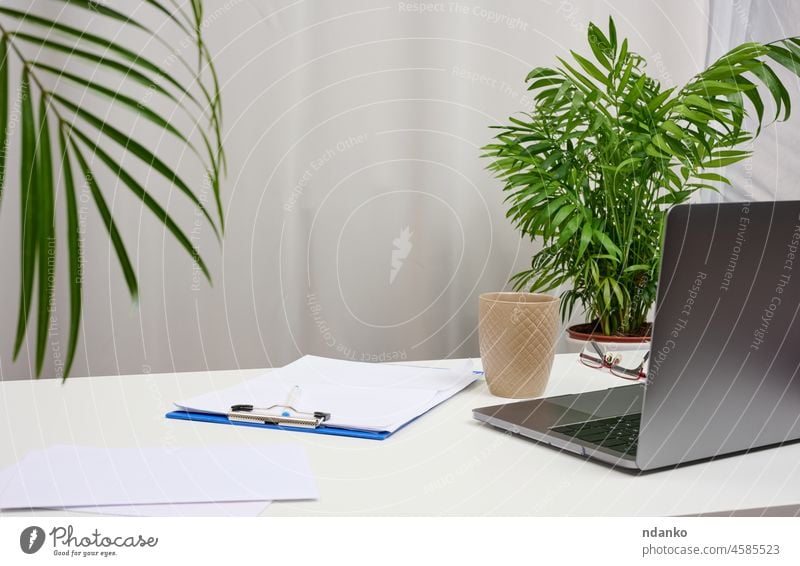 White table with laptop and pots with plants, freelance workplace office business computer nobody desk technology home modern design workspace indoor desktop