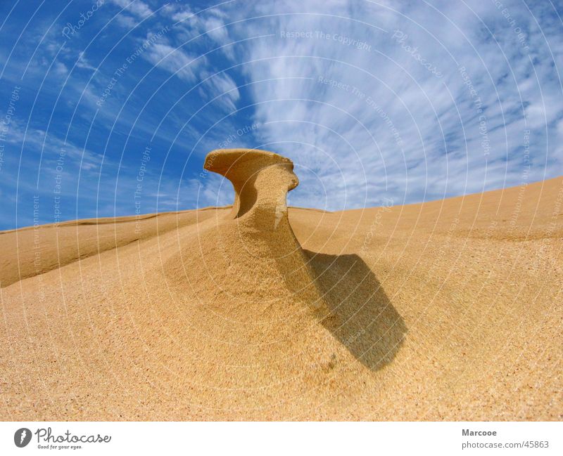 Sand Structure New Zealand 90 Mile Beach Ocean Structures and shapes Heaven and Sand