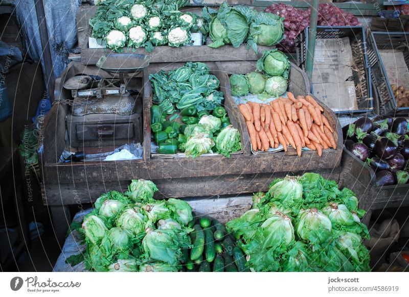 Schlaraffenland | for vegetarians and all those who want to become one Markets Vegetable Food Fresh Market stall Scale Vegetarian diet Greengrocer Lettuce