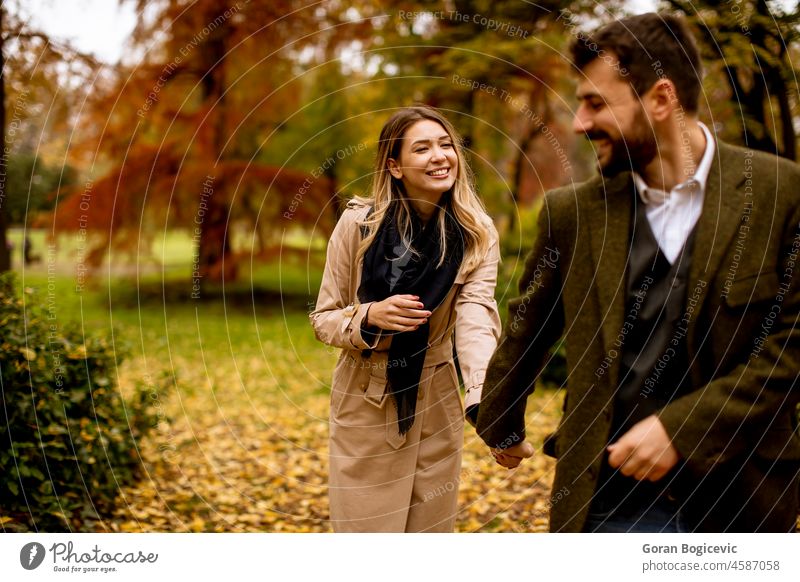 Young couple walking in the autumn park romance love two relationship nature lifestyle girlfriend woman boyfriend fall happiness leisure together people