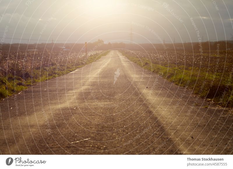 empty country road between fields at sunset asphalt background blank road blue cloudscape copy space countryside destination dramatic drive line driveway forest