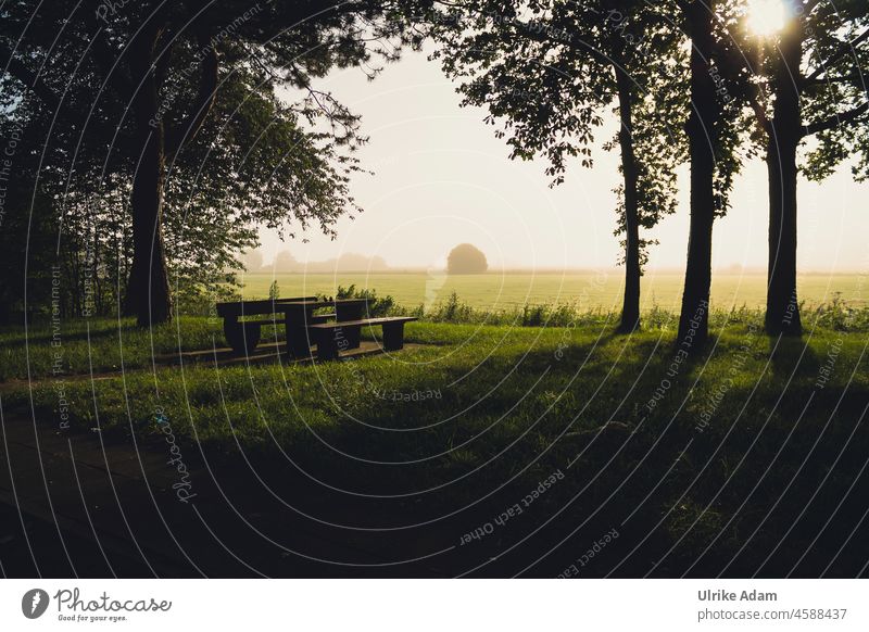 Resting place in the Teufelsmoor, Osterholz-Scharmbeck near Bremen devil's mire Summer Beautiful weather sunshine Peaceful Table benches Landscape idyllically