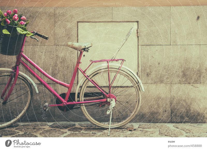 Wall with kind regards Lifestyle Shopping Style Leisure and hobbies Bicycle Feminine Flower Tulip Wall (barrier) Wall (building) Means of transport Stand Old