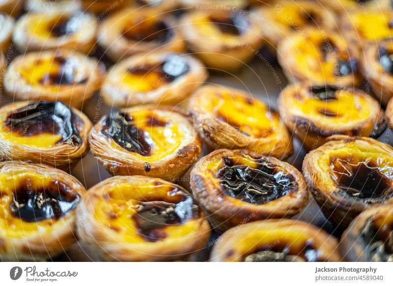 Close-up of plenty of pastel de nata - traditional sweet from Portugal portugal custard yellow burnt many creme egg tart sugar sweet tooth lisboa close-up