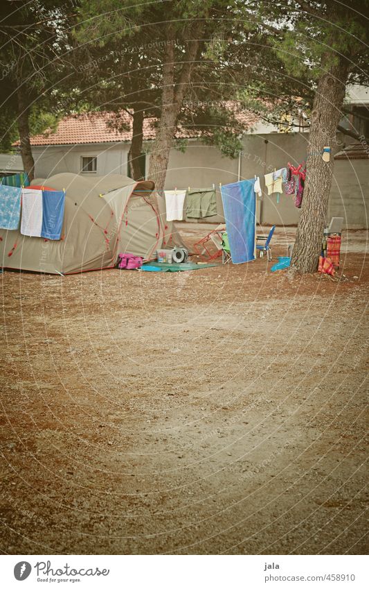 camping Vacation & Travel Freedom Camping Summer vacation Plant Tree Tent camp Wild Joy Colour photo Exterior shot Deserted Copy Space bottom Copy Space middle