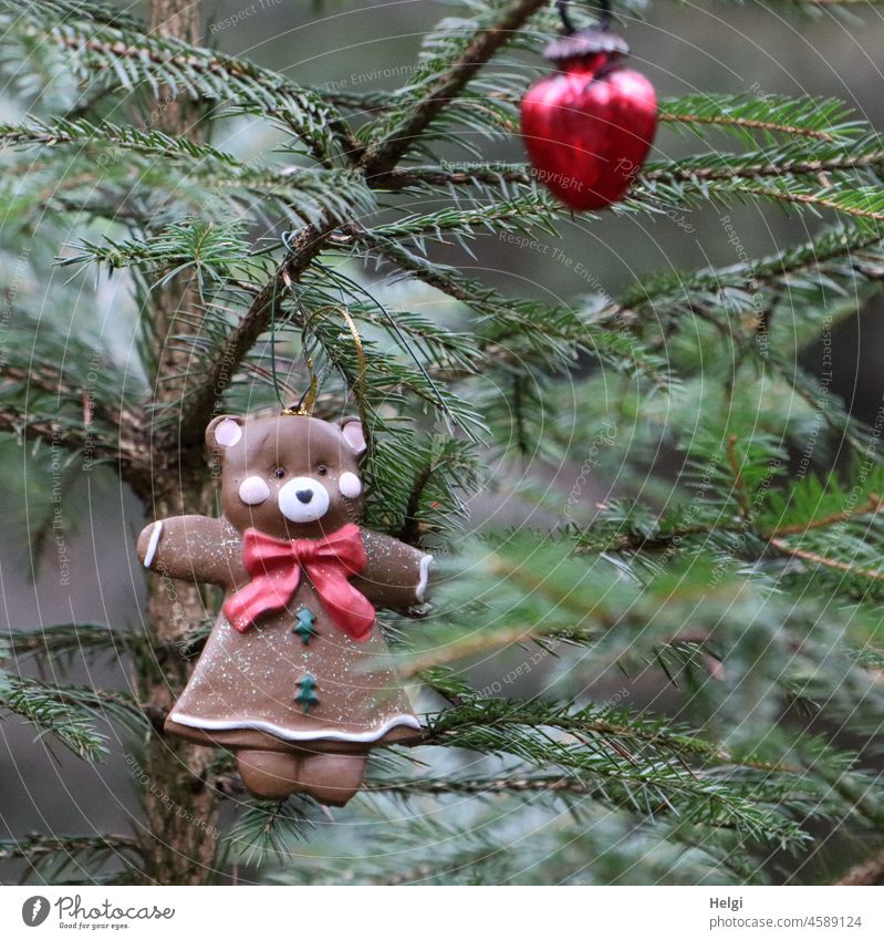 Clay Christmas bears as decoration on a Christmas tree Advent Decoration Bear Christmas Bear Christmas tree decorations Tone Clay figure Fir tree Spruce