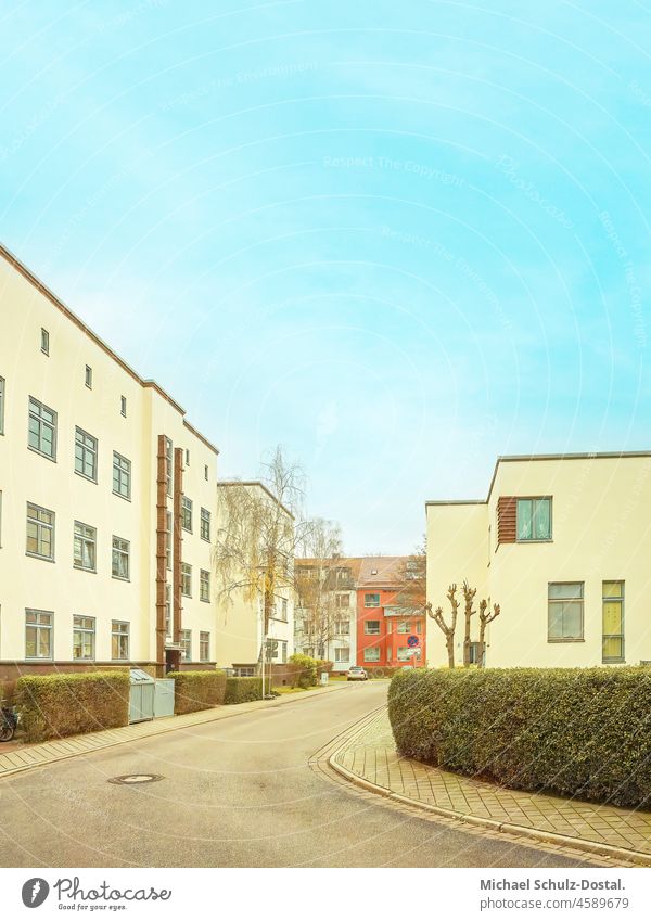 Bauhaus housing estate in a warm colour scheme Magdeburg modern new Build Architecture settlement minimal Colour shape surface Geometry Hedge Sky Blue