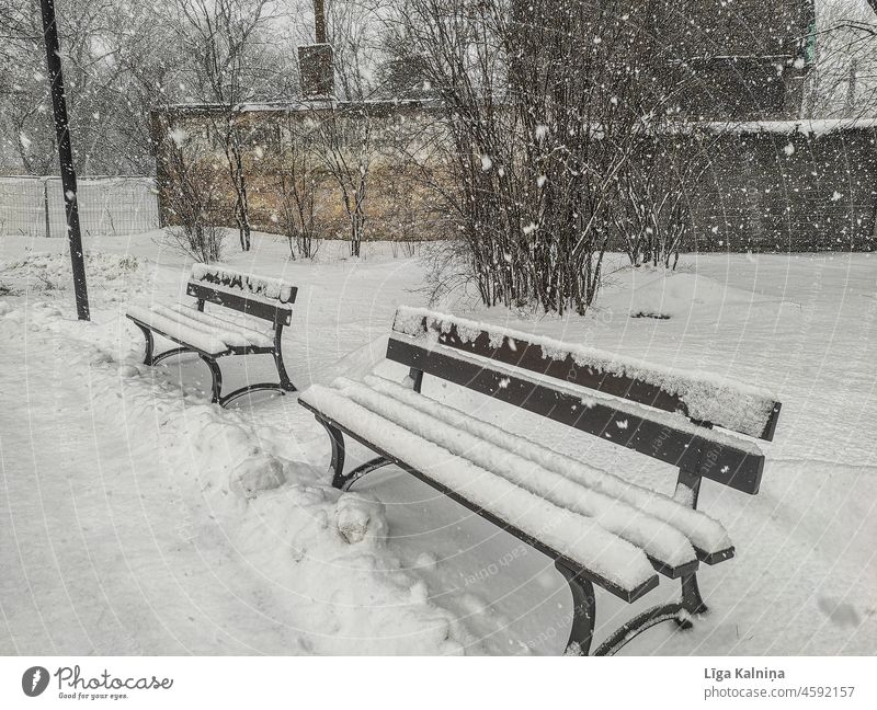 Snow covered benches Winter Snow layer Cold winter White Winter mood Winter's day snow-covered Weather snowy Snowscape Nature chill Deserted Frost Environment