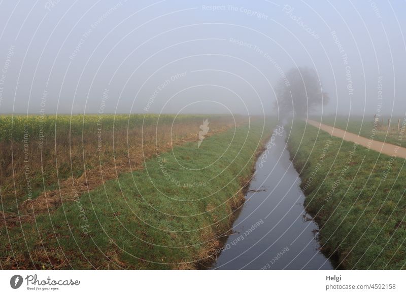 Fog atmosphere - small river between fields with path and tree in fog Landscape Nature Misty atmosphere River Field off Tree Margin of a field Water Grass bank