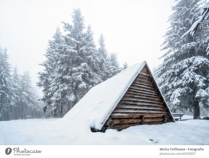 Wooden hut in the snowy Thuringian Forest Thueringer Wald Schneekopf Snow Winter winter landscape Hut refuge trees Sky vacation Landscape Vacation & Travel