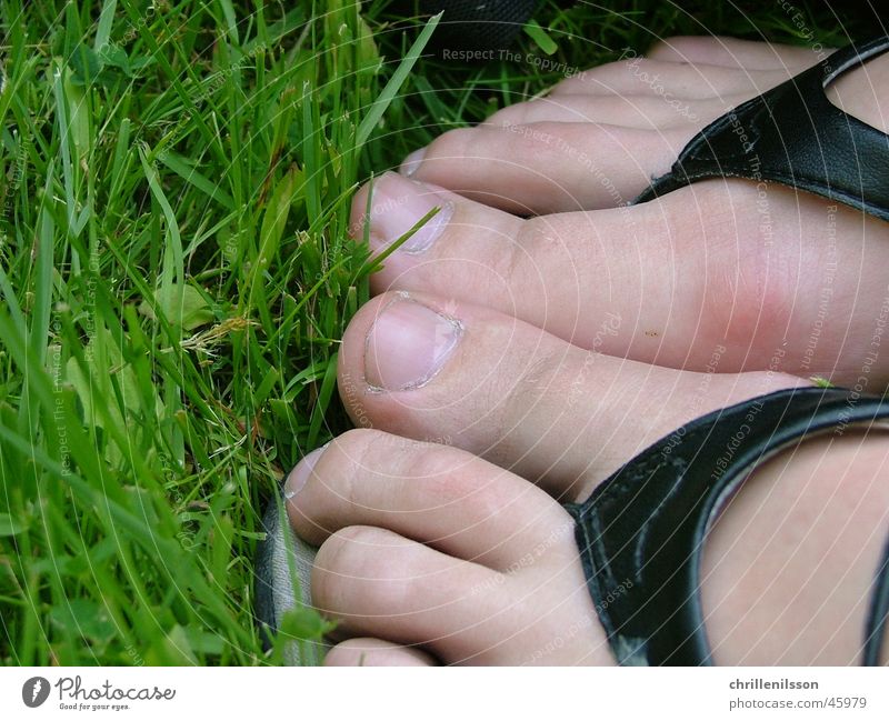 Feet in grass feet foot