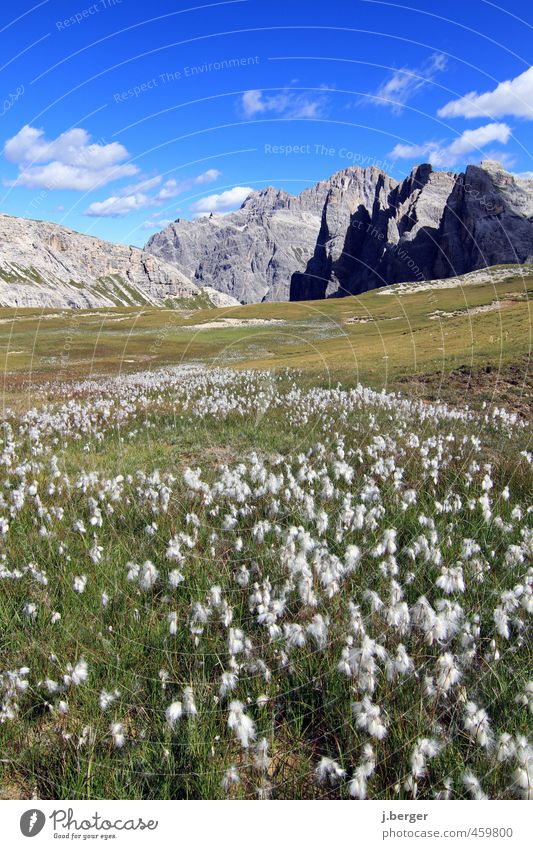Dolomites Vacation & Travel Summer Sun Mountain Hiking Nature Landscape Plant Sky Cloudless sky Beautiful weather Meadow Rock Alps Blue Gray Green White