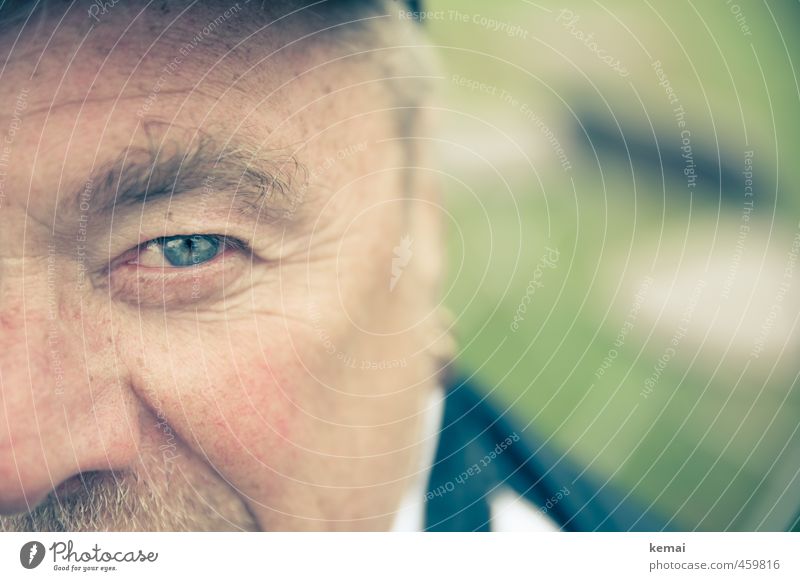 Look me in the eye, say that again. Human being Masculine Man Adults Male senior Father Senior citizen Life Eyes Cheek 1 45 - 60 years 60 years and older
