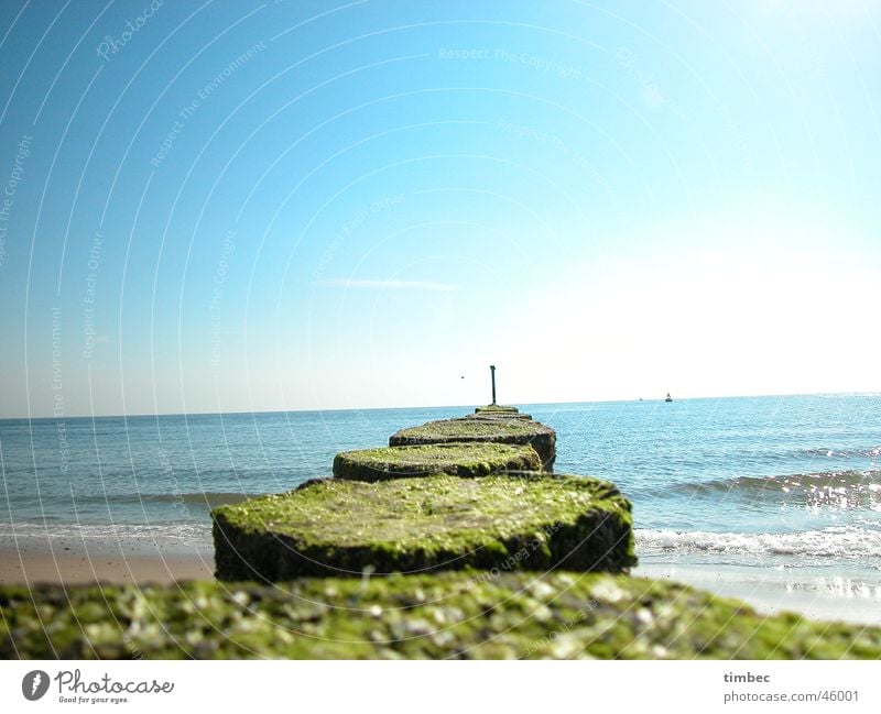 Far beyond Beach Ocean Break water Romance Harmonious Relaxation Vacation & Travel Man Playing Romp Wood Algae Waves Tide Sand Water Sky Blue Joy bliss Freedom