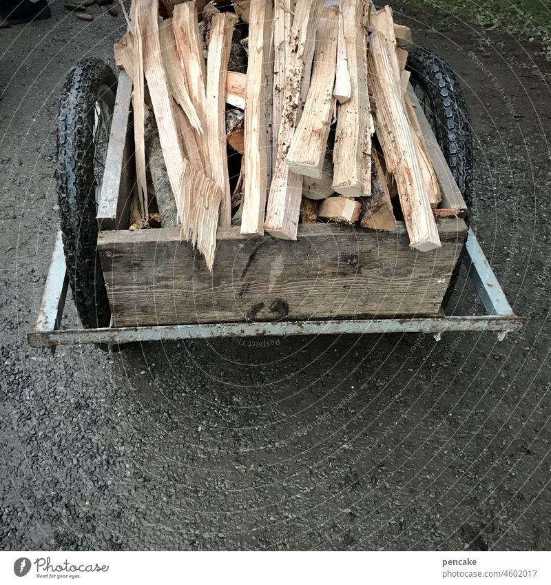 beauty in the eye of the beholder | nice and warm Wood Firewood Cart Trailer bicycle trailers Wheelbarrow Logs Meter wood hardwood Winter firewood Warmth Heat