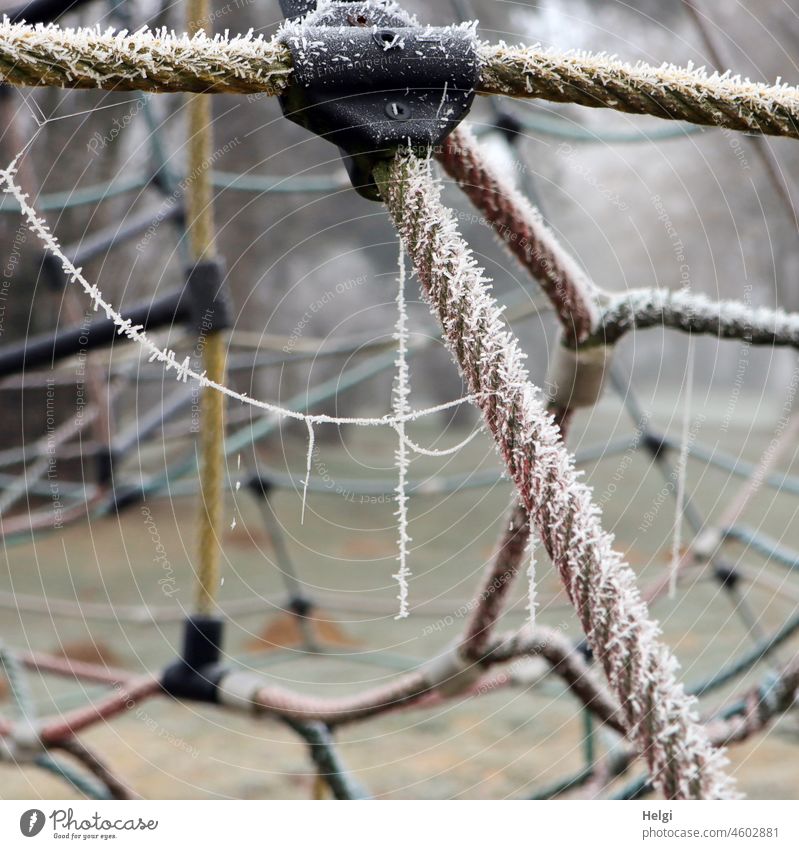 Beauty in the eye of the beholder | detail shot: climbing frame made of ropes with cobwebs and hoarfrost climbing scaffold Rope Fastening Hoar frost Cobwebby