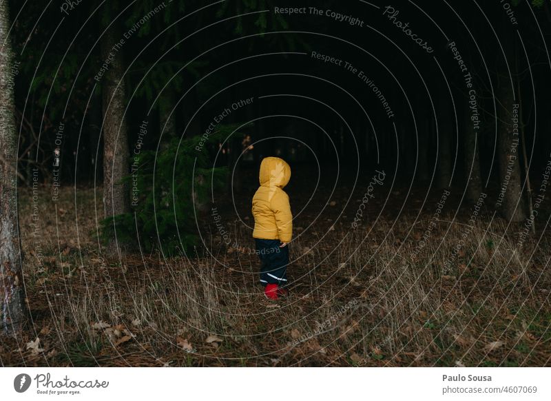 Child with Yellow hooded jacket standing in the woods Rear view 1 - 3 years Authentic Winter Hooded (clothing) Exterior shot Human being Day Colour photo