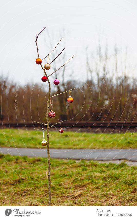 Blessed are the minimalists Christmas tree Christmas & Advent Thrifty Thriftiness Minimalistic minimalism Christmas decoration Colour photo Tree small tree