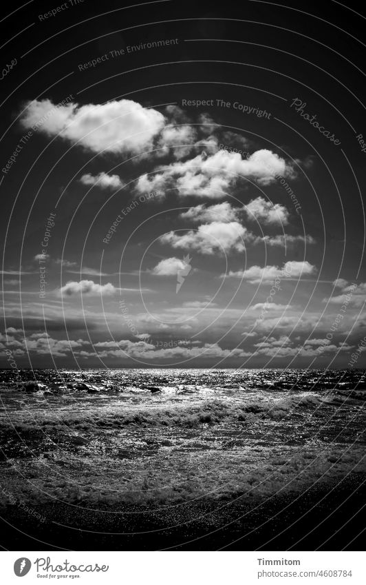 Clouds, water and waves Sky horizon Water North Sea Waves White crest Beach Sand Vacation & Travel Denmark Deserted Nature Elements Black & white photo