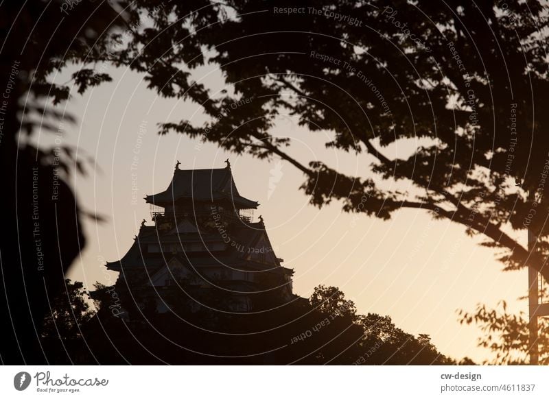 Silhouette on Japan Temple Architecture Religion and faith