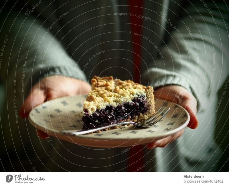 A piece of blueberry pie is offered on a plate with a cake fork by women hands Cake Blueberry Dessert Baked goods Food photograph Baking Granules