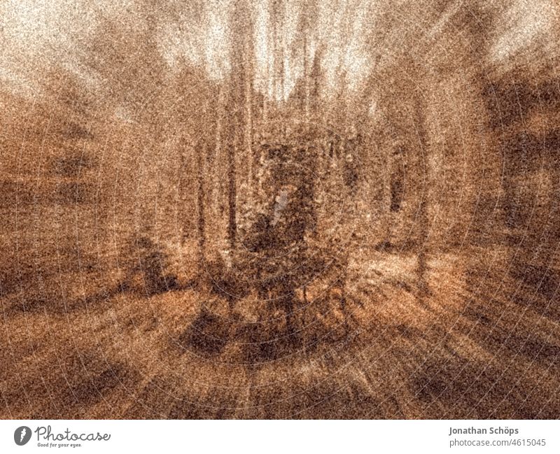 Trees in forest vintage zoom plants Woodground Brown desaturated Grain Time swift motion blur focus Artistic Retro Analog Raw Experimental Filter Old Style