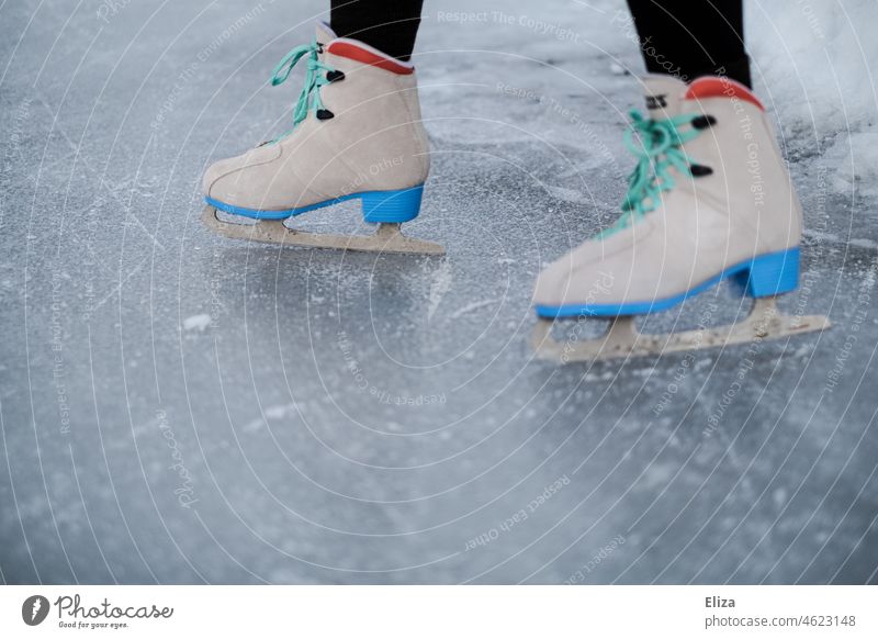 Woman skates on a skating rink ice rink Ice-skates Ice-skating Winter Winter sports Lake Leisure and hobbies Legs Frozen surface winter Human being Sports