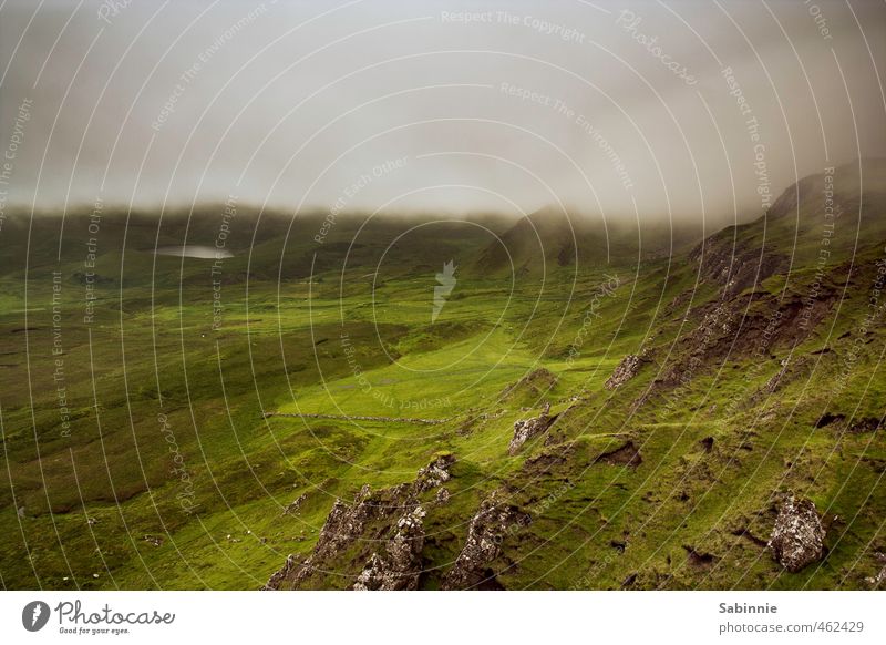 [Skye 16] Nebula from the right, sun from the left. Environment Nature Landscape Elements Earth Clouds Climate Weather Beautiful weather Bad weather Fog Plant