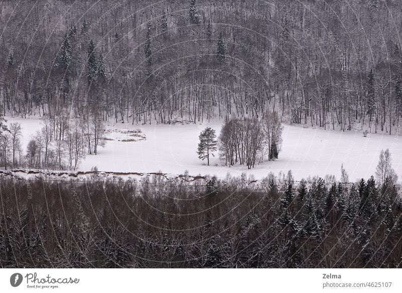 Aerial view on winter landcape with bare trees and snowy field Aerial photograph aerial aerial view Winter Landscape winter landscape Trees woodland Above